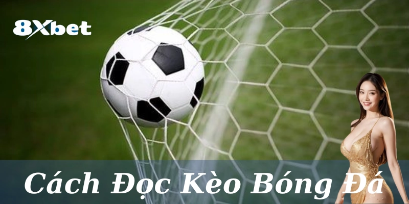 Cách đọc kèo bóng đá là gì?
