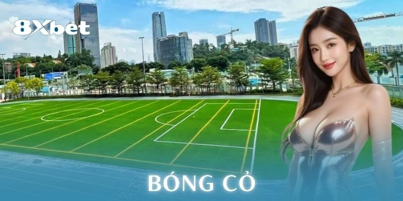 Bóng cỏ là gì?