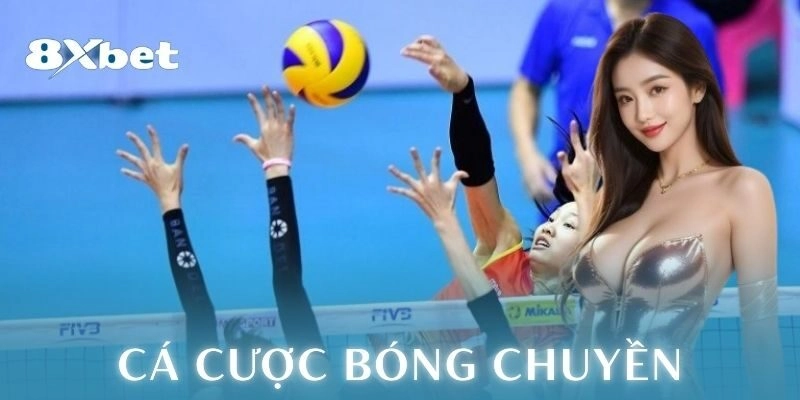 Tại sao cá cược bóng chuyền hấp dẫn các cược thủ